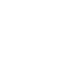 AUTOZONE-LOGO